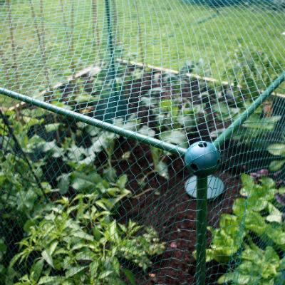 Cage 1,25 m de haut 1,25 m de large avec FILET PAPILLONS idéal pour les charbons hauts (Choisir la longueur)