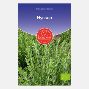 Hyssop BIO