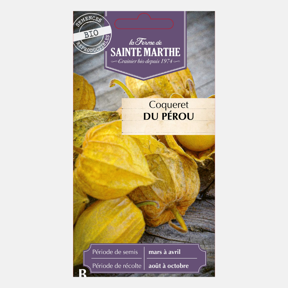 Ananaskirsche (Physalis peruviana) Bio-Samen