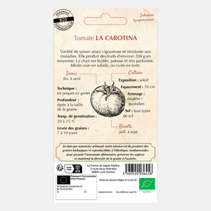 Tomate 'La Carotina' BIO