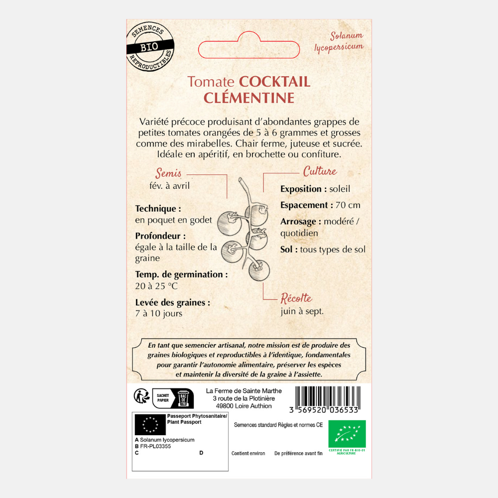 Tomate 'Cocktail Clémentine' BIO