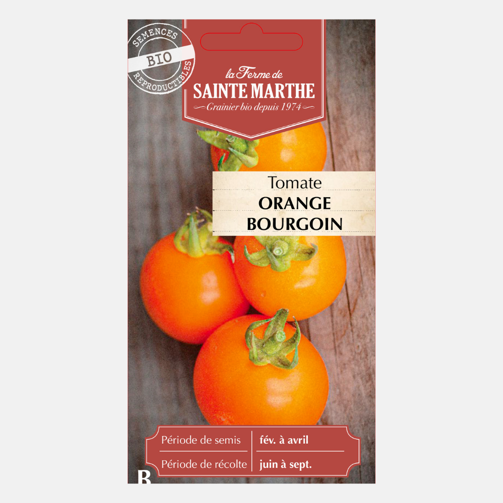 BIO-Samen der Tomate Orange Bourgoin