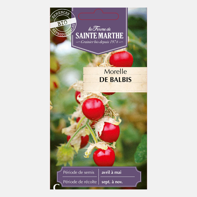 Ballbis Tomate litchi 'Morelle de Balbis' BIO – PLUKKERS