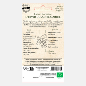 Romeinse sla 'Winter Sainte-Marthe' BIO