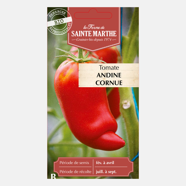 Tomato 'Andine Conrue Des Andes' BIO – PLUKKERS