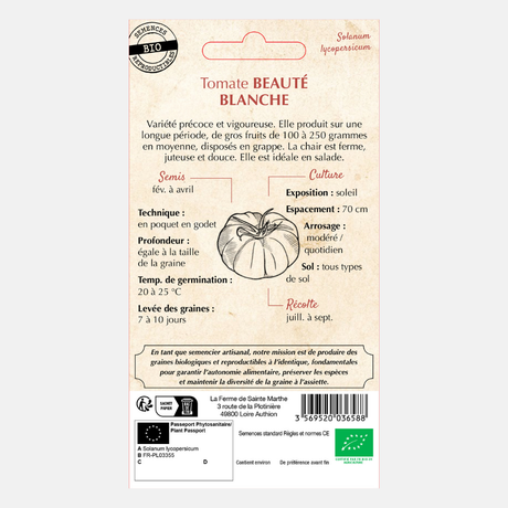 Tomaat 'Beauté Blanche' BIO