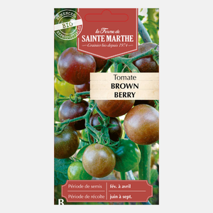 Tomaat 'Brown Berry' BIO