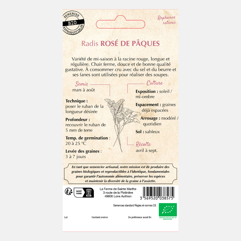 Zaailint radijs 'Rosé du Paqûes' BIO