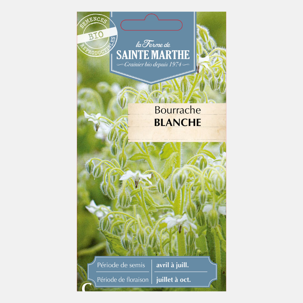 Concombre Herbe Blanche BIO