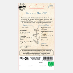 Concombre Herbe Blanche BIO