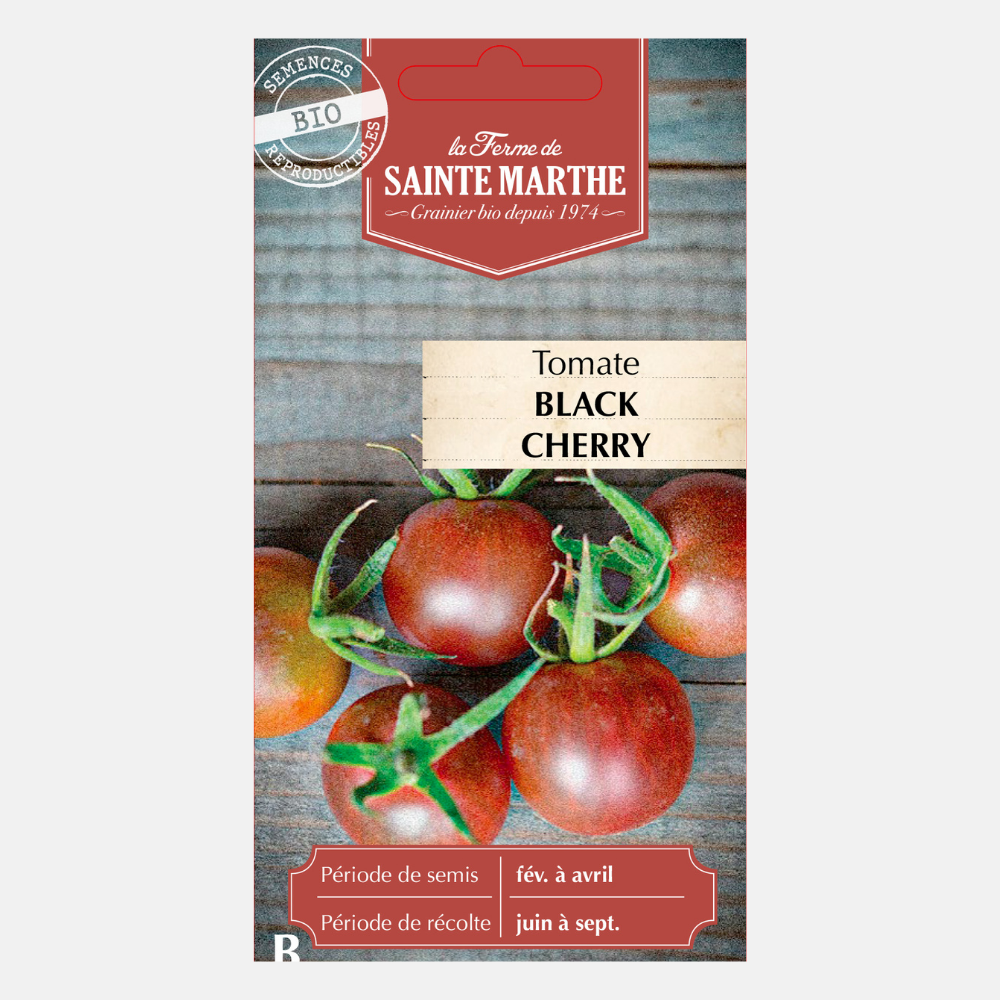 Tomate cerise 'Black Cherry' BIO