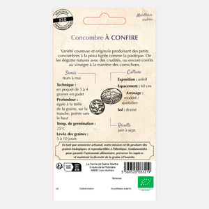 Concombre mexicain - Cucamelon - Melon souris BIO