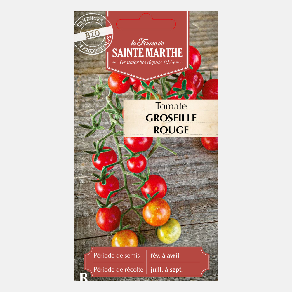 Tomaat 'Groseille Rouge' BIO