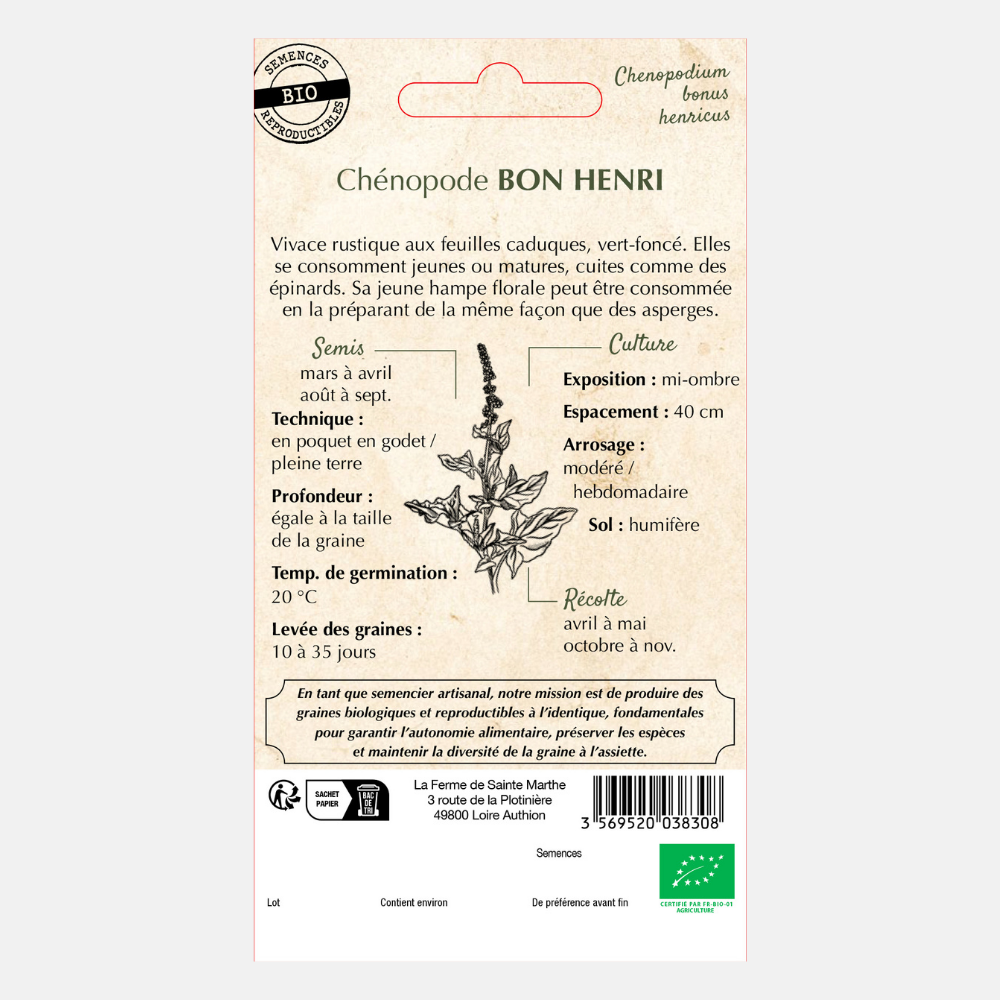 Brave Hendrik (Chenopodium bonus-henricus) BIO