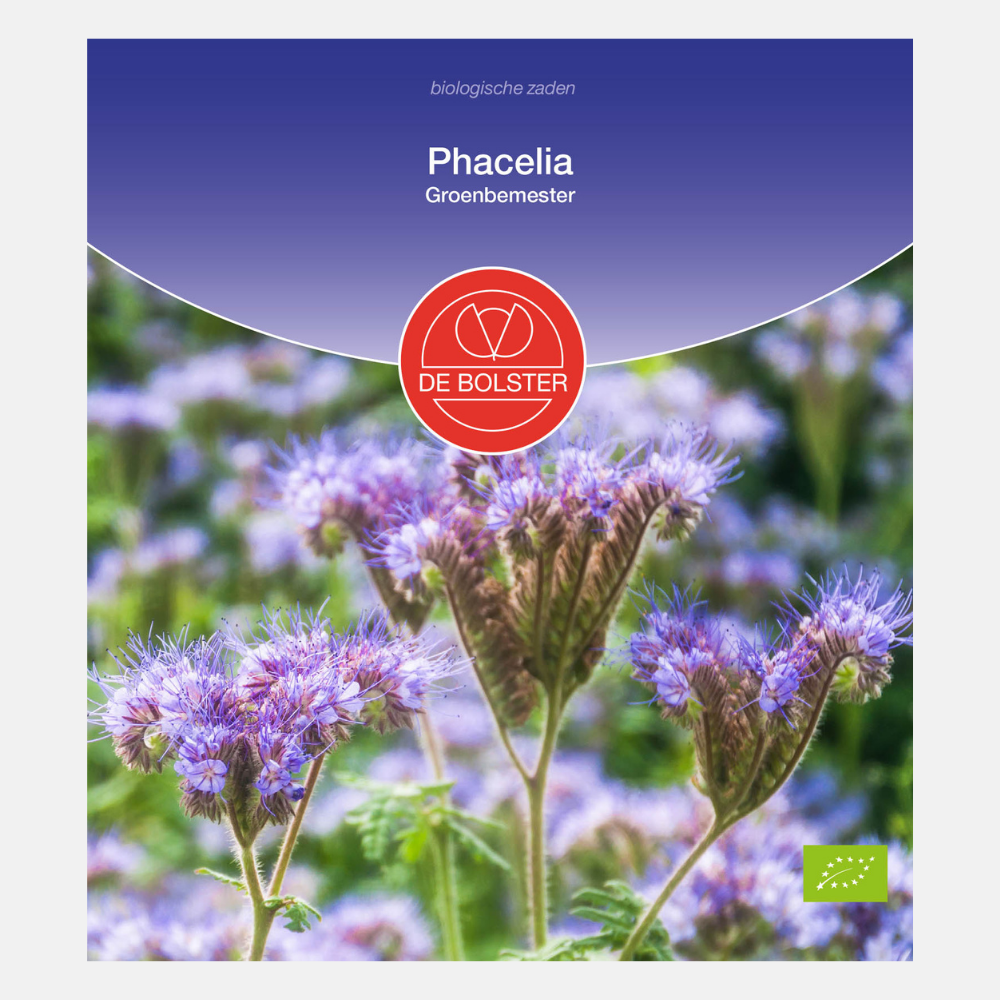 Phacelia - Groenbemester BIO