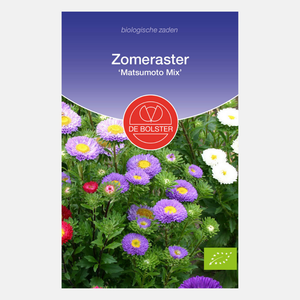 Zomeraster 'Matsumoto Mix' BIO