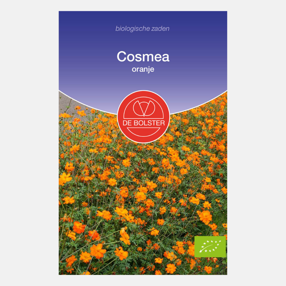 Cosmea, oranje BIO