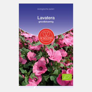 Lavatera, grootbloemig BIO