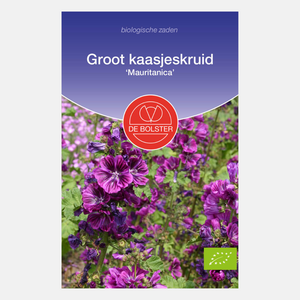 Groot kaasjeskruid 'Mauritanica' BIO