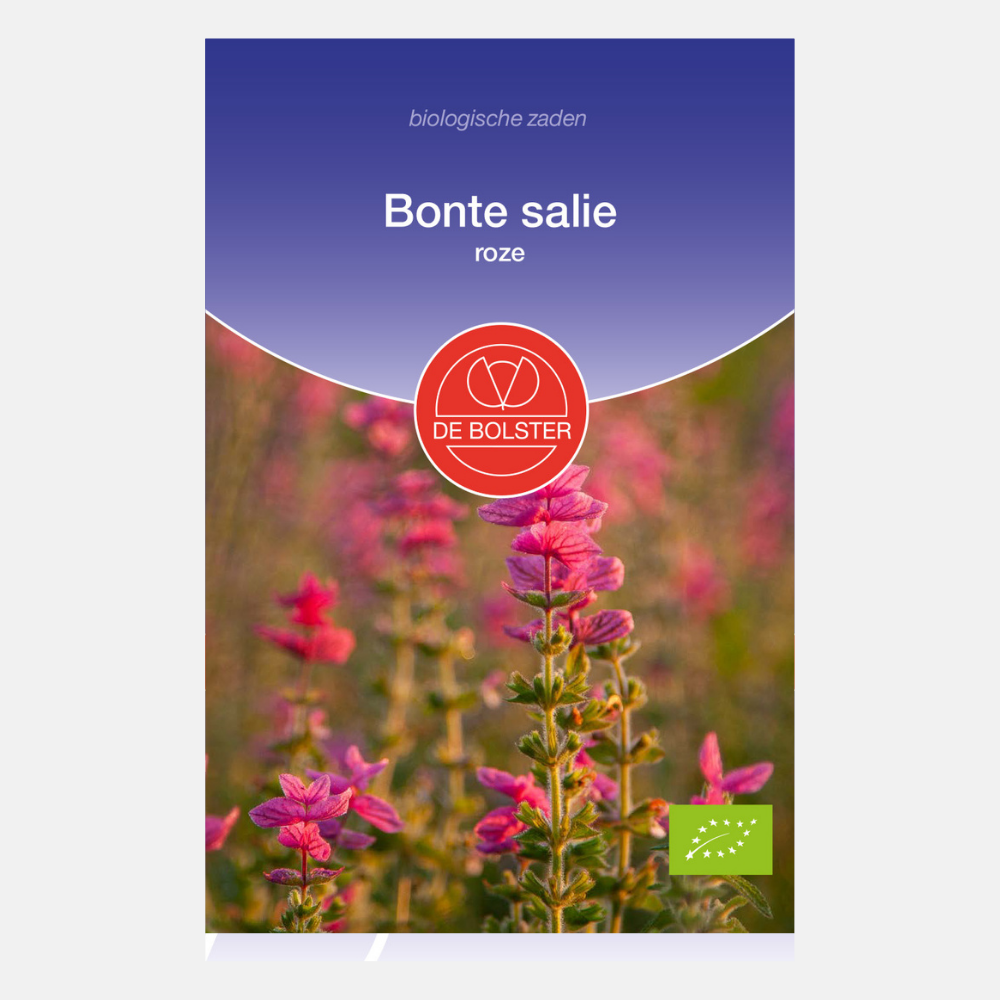 Bonte salie, roze BIO