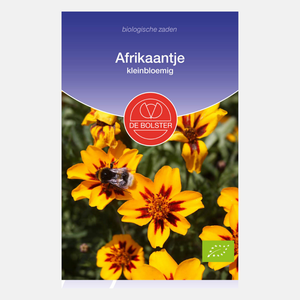 Afrikaantje, kleinbloemig BIO