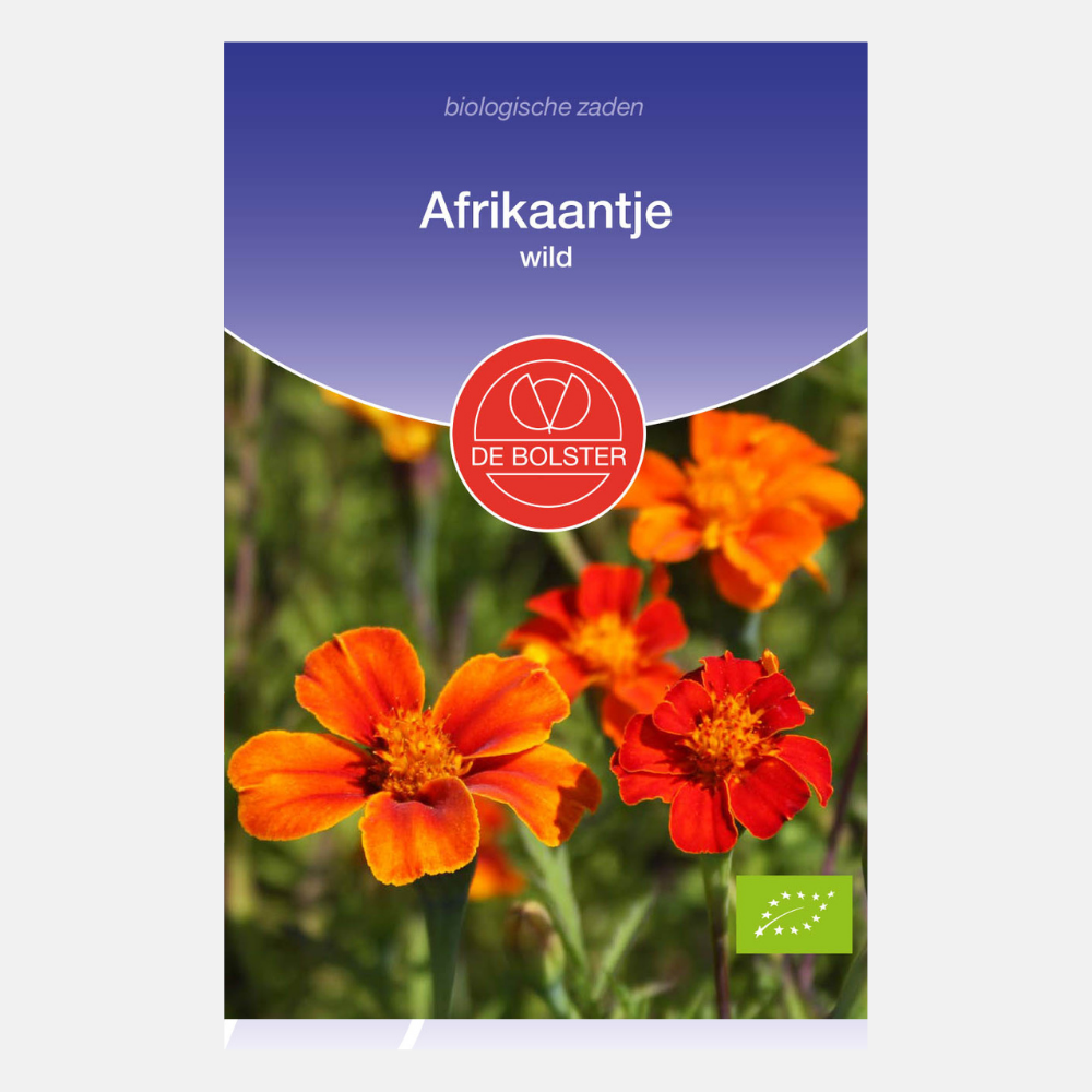 Afrikaantje, wild BIO