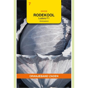 Rodekool Lodero F1 Knolvoetvrij - inh.: 30 zaden