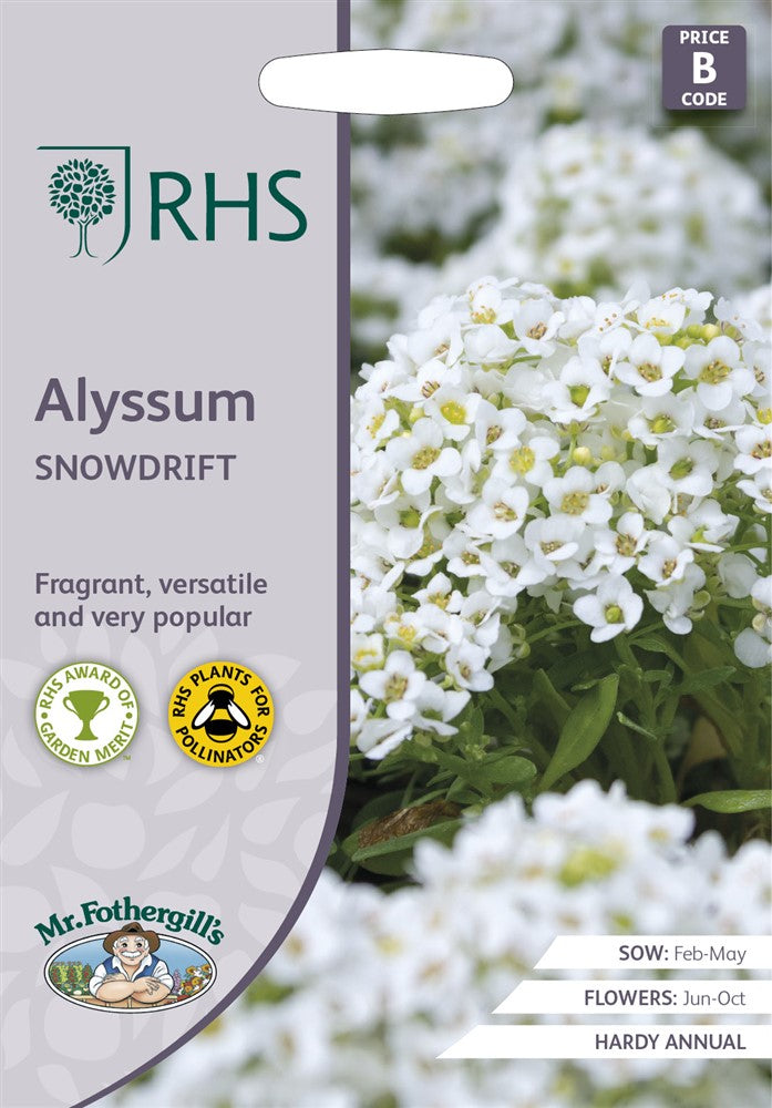 Zeeschildzaad zilverschildzaad Alyssum lobularia maritima Snowdrift  -  1500 Zaden