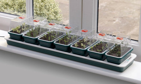 Propagateur électrique 7 pièces pour rebord de fenêtre - sans thermostat