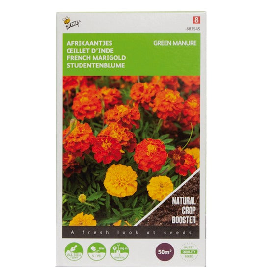 Gründüngung Tagetes Ringelblumen Bonita 50g Buzzy