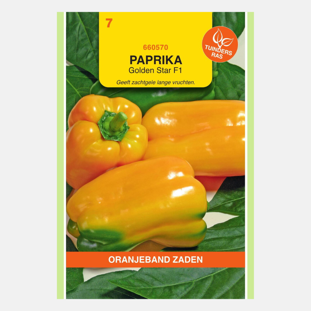 Paprika Gemini jaune F1 (Orangeband Seeds) - environ 25 graines