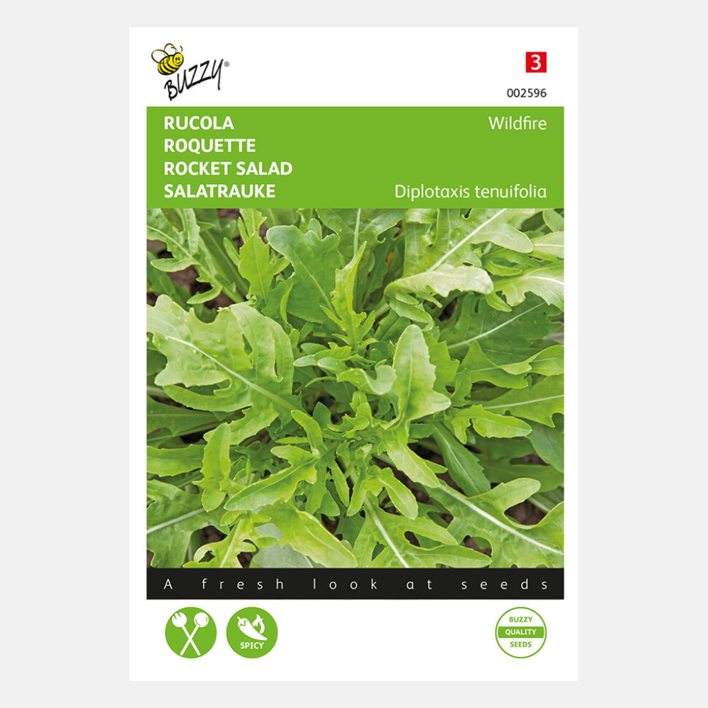 Rucola 'Wasabi' – PLUKKERS