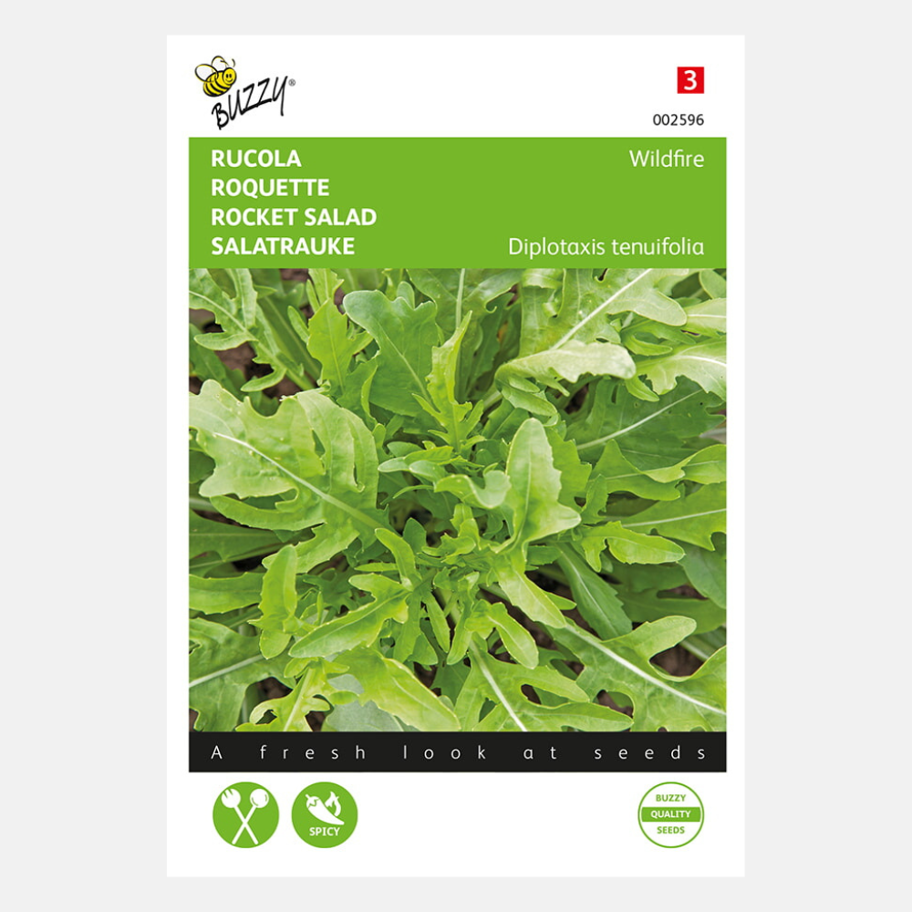 Roquette Wasabi 0,5 grammes