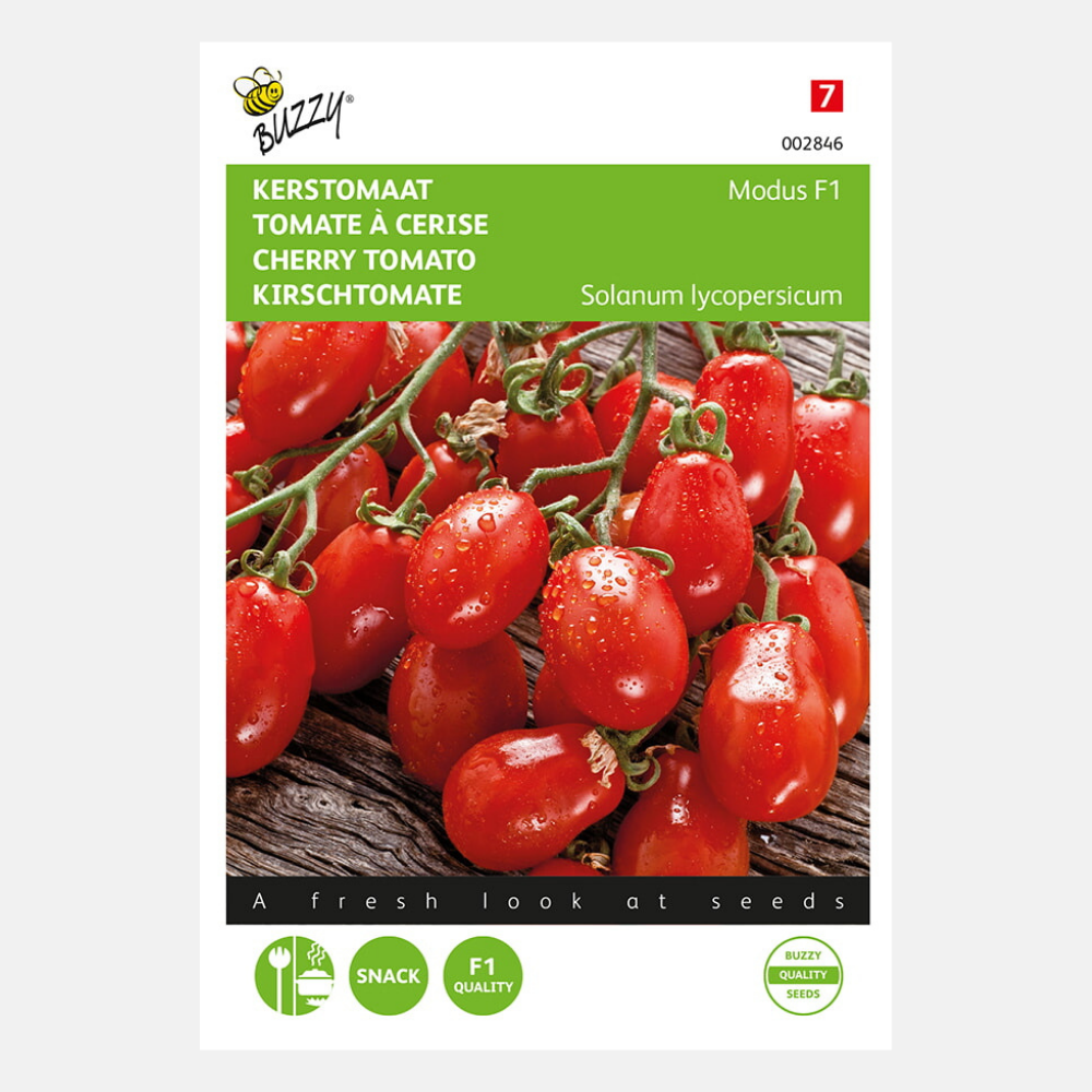 Buzzy Tomatoes Modus F1 – ca. 10 Samen