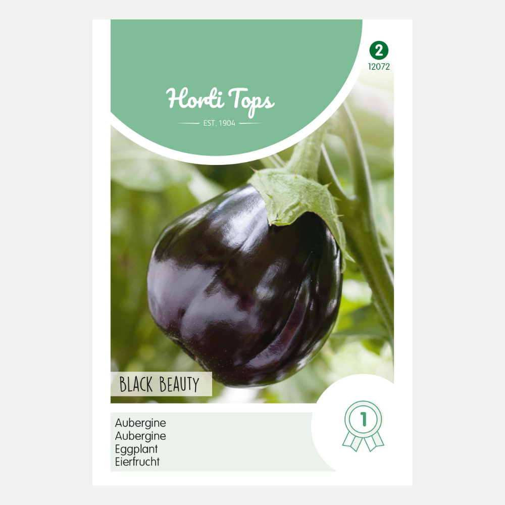 Aubergine 'Black Beauty'