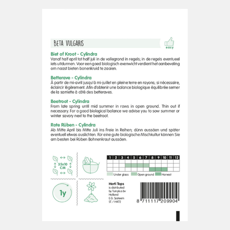 Cylindra de betterave. Longueur moyenne - contenu : 5 grammes