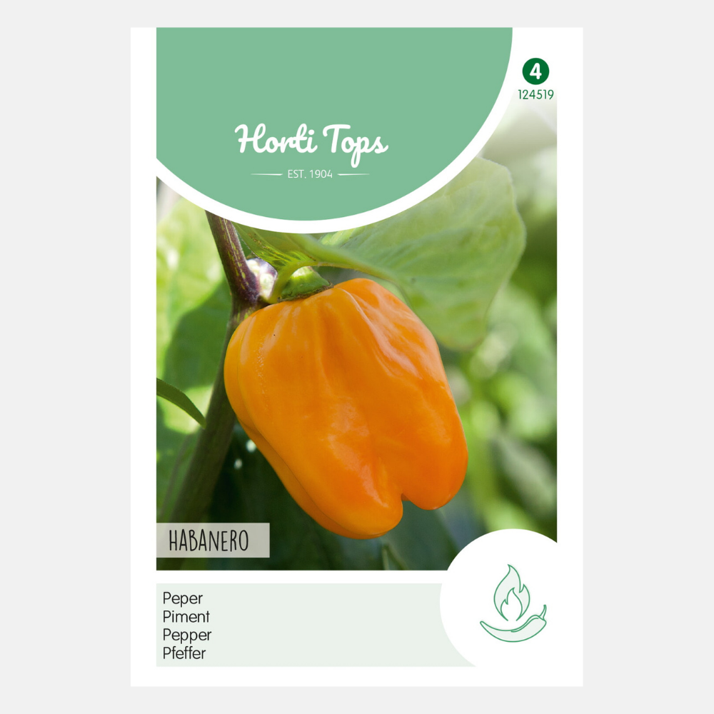 Peper 'Habanero' - 300000 scoville