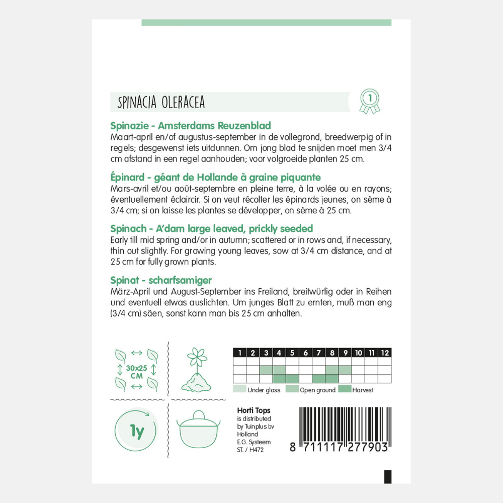 Spinazie 'Amsterdams Reuzenblad'