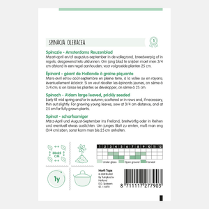 Spinazie 'Amsterdams Reuzenblad'