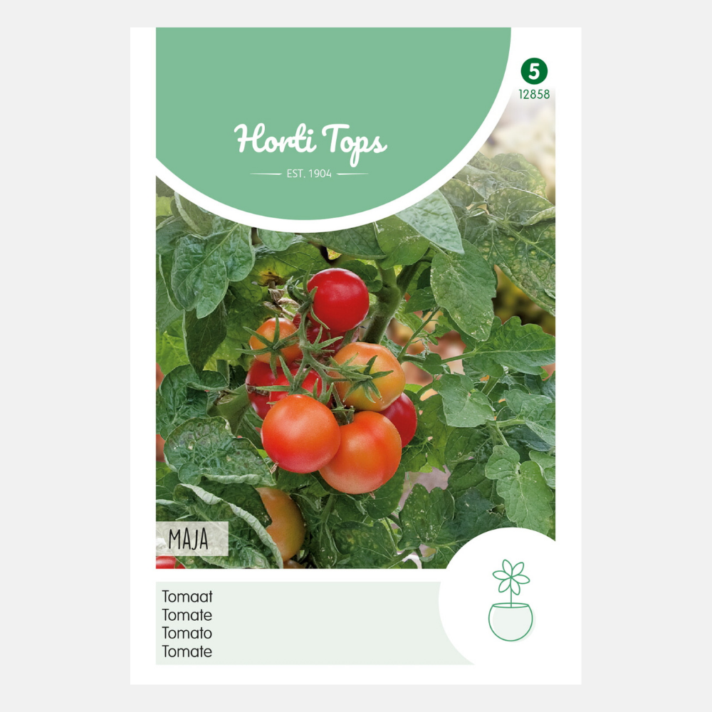 Tomate - Maja - Tomate de balcon 0,75 gramme Hortitops