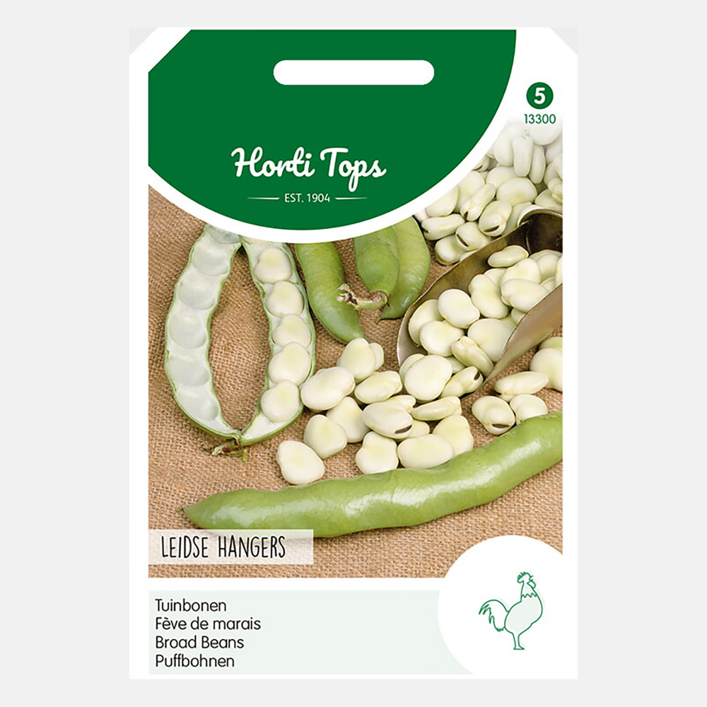 Tuinbonen 'Leidse Hangers'