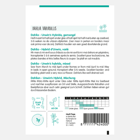 Dahlia Unwin'S Hybrid Mixed - contenu : 0,75 gramme