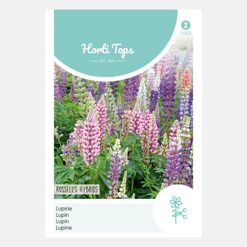 Lupine 'Russell's Hybrids' - gemengd