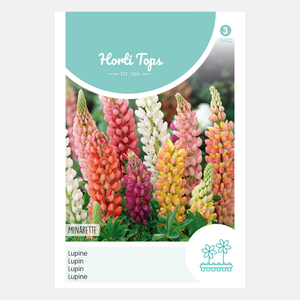 Lupine 'Minarette' - gemengd