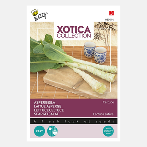 Laitue asperge Buzzy XOTICA