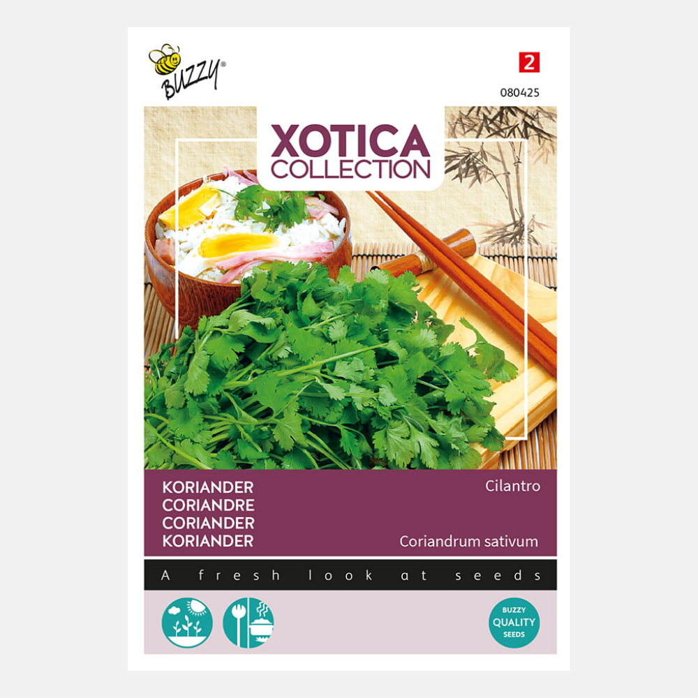 Buzzy® Xotica Koriander Koriander