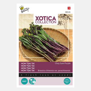 Buzzy® Xotica Hon Tsai Tai Choy Sum Violet