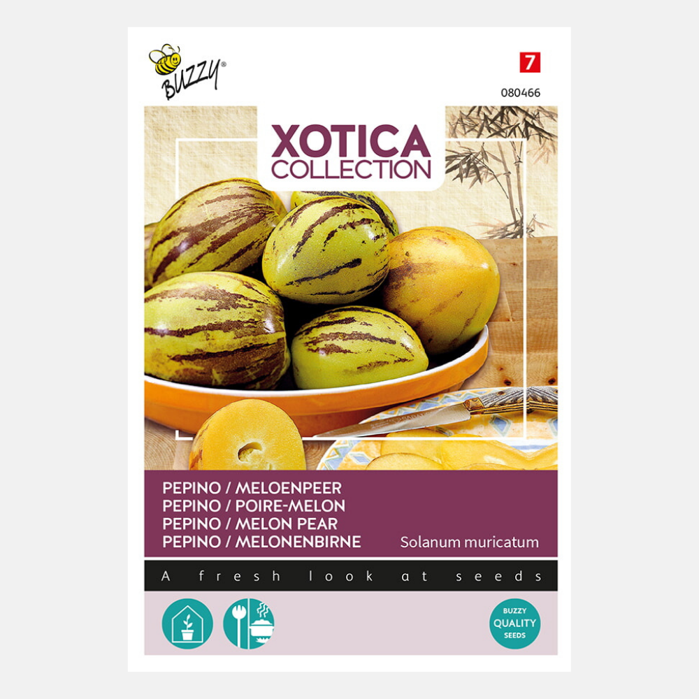 Buzzy Xotica Melon Poire Pepino