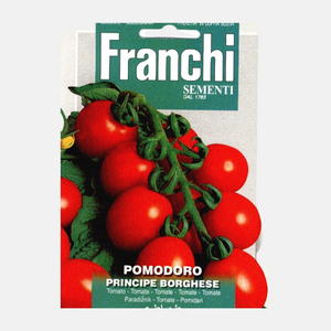 Tomate de vigne. Pomodoro Principe Borghèse 106/50