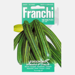 Zucchini Striato d'Italia 10 Gramm Franchi